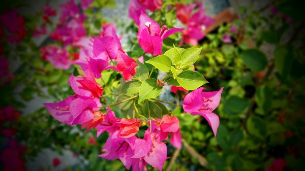 Estrategias infalibles para un seguimiento exitoso tras tu entrevista de trabajo